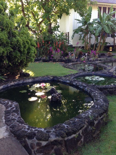 Kiahuna Plantation - May 30, 2016