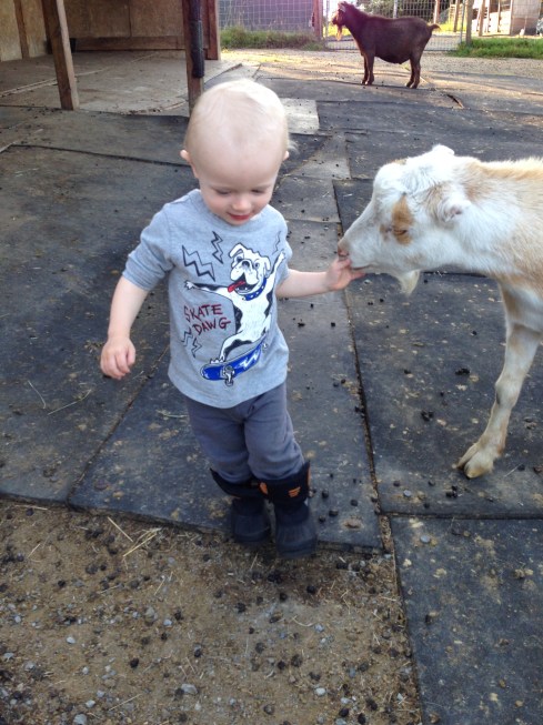 New Moon Farm critter - August 3, 2016