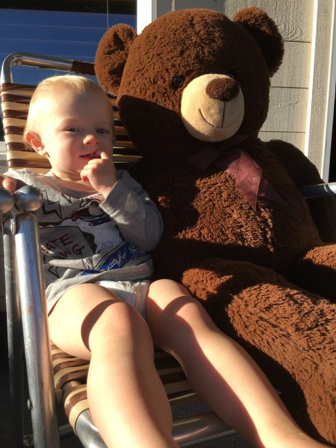 Todd & Pillow Bear - October 20, 2016